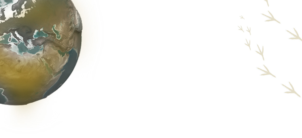 header