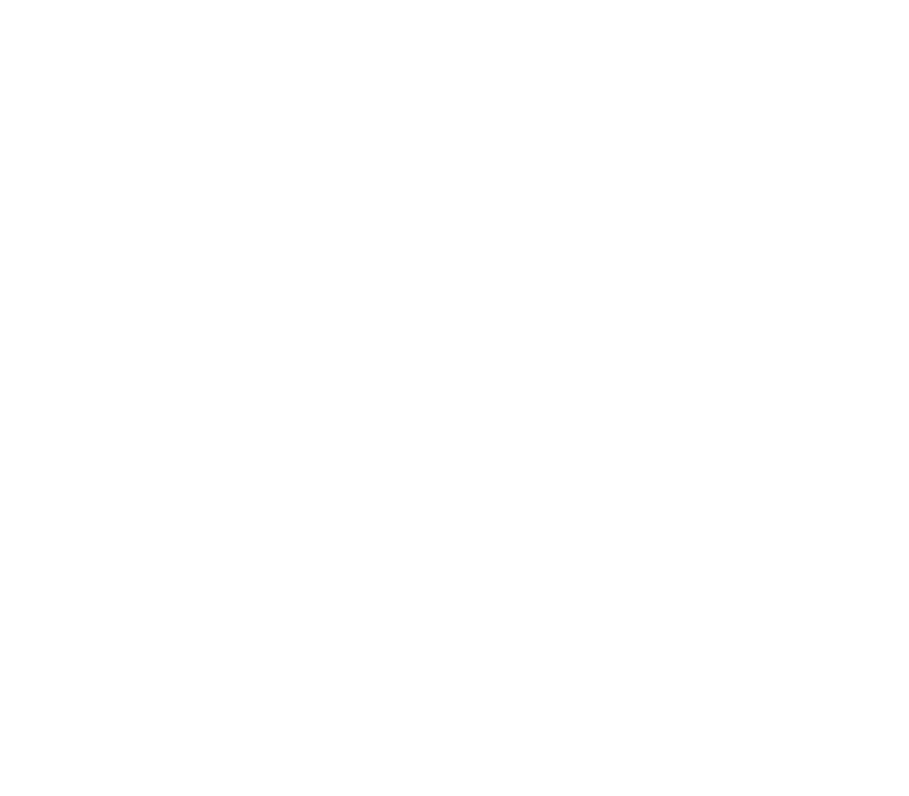 porciFORUM 2025