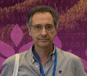 Pedro Fernández Llario